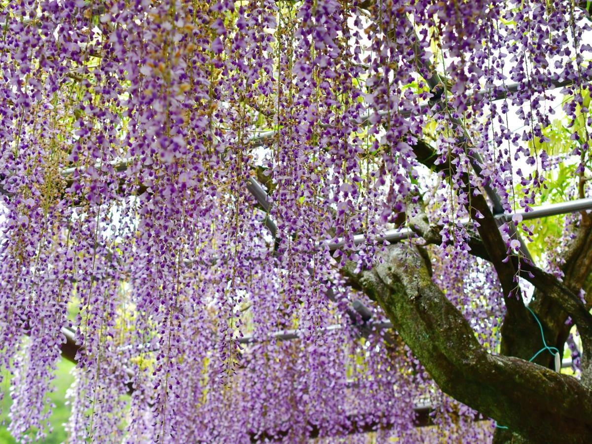 Hotel Tomioka-Ya Fujieda المظهر الخارجي الصورة